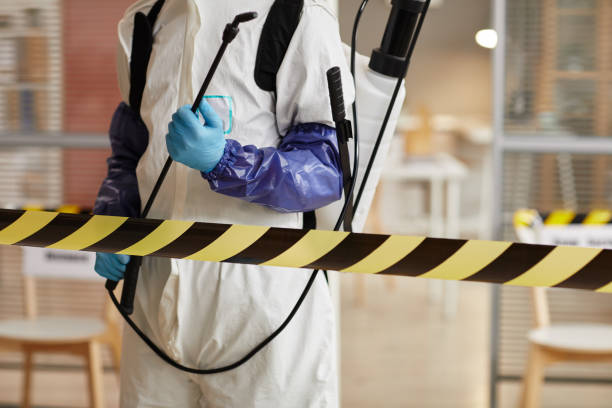 Professional Sewage Cleanup technician working in Placerville, CA